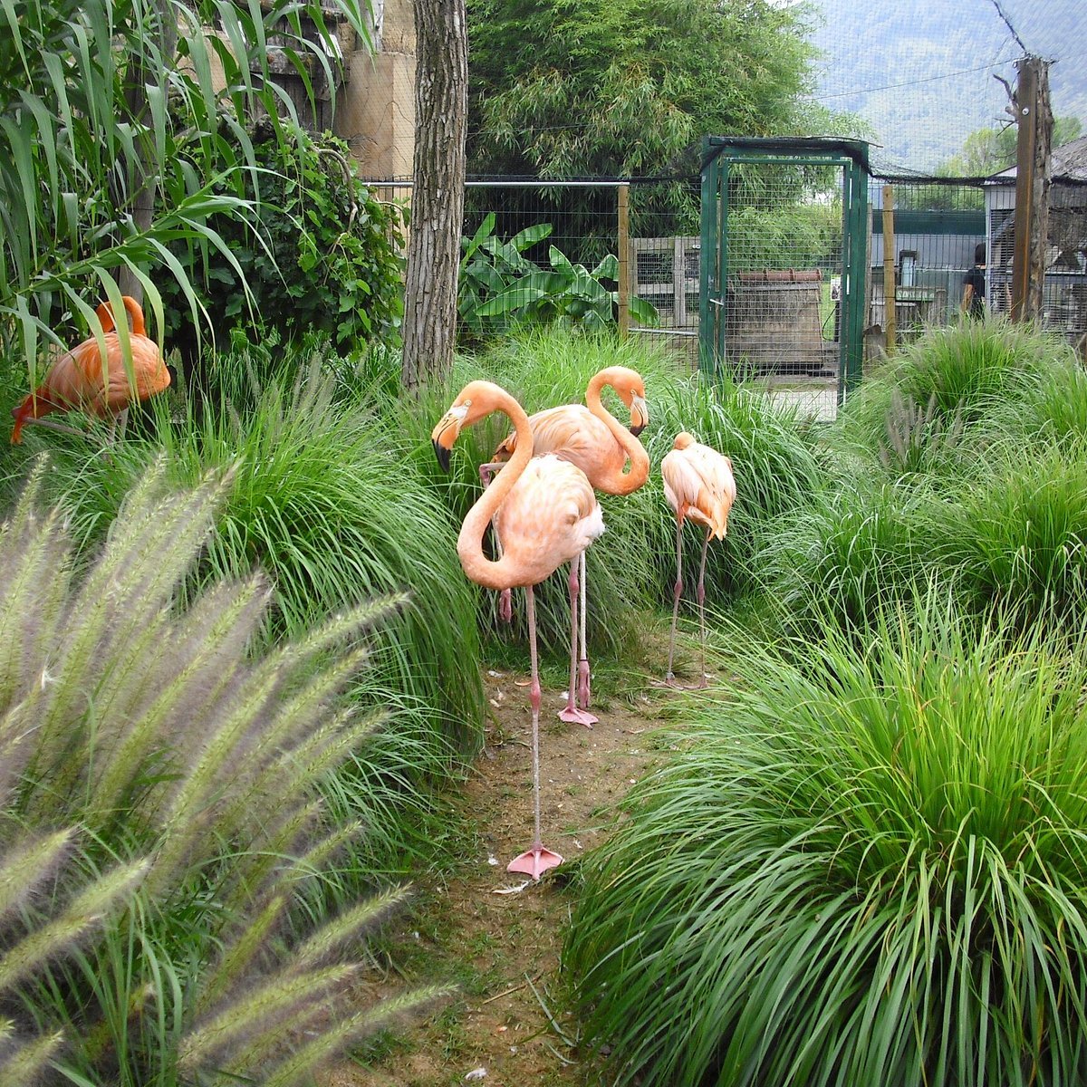 🌳 경신산 종합공원(고신야마 소고 코엔)